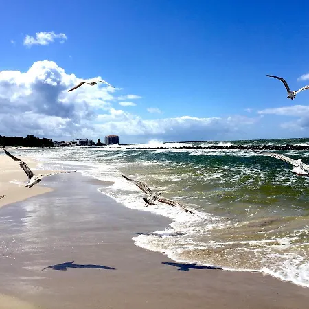 Apartament Darlowko *