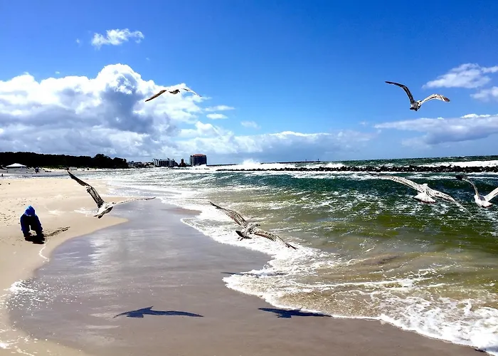 Apartament Darlowko *